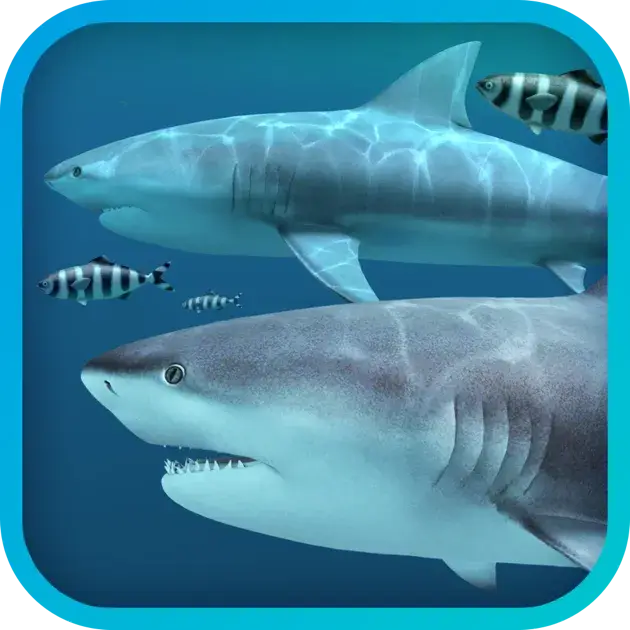Sharks 3D 2.1.1 破解版 - 生动的海洋生态环境模拟