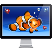 Aquarium Live HD 3.5.0 MAS 水族馆海洋屏保